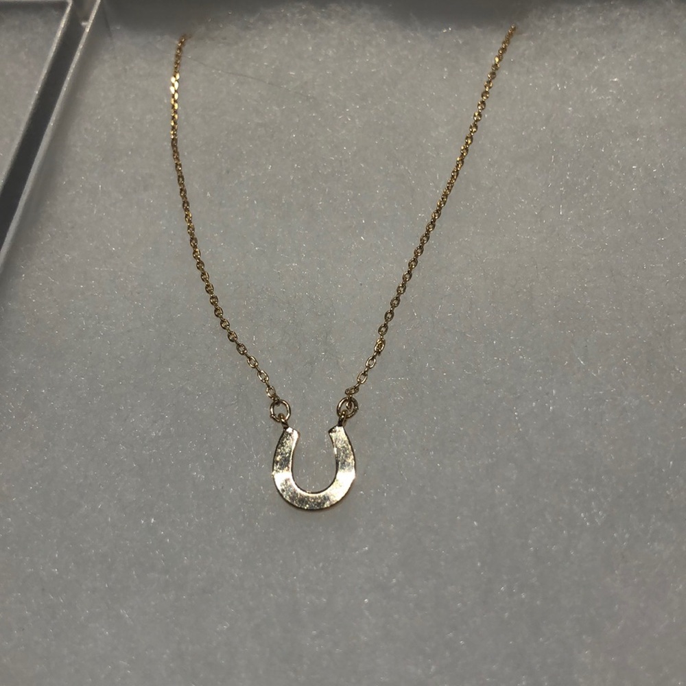 Horseshoe necklace